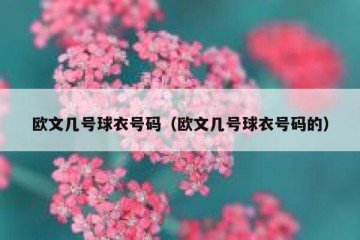 欧文几号球衣号码（欧文几号球衣号码的）