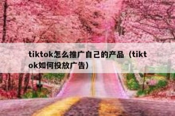 tiktok怎么推广自己的产品（tiktok如何投放广告）