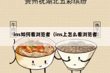 ins如何看浏览者（ins上怎么看浏览者）