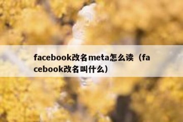 facebook改名meta怎么读（facebook改名叫什么）