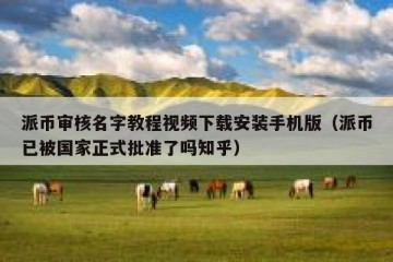 派币审核名字教程视频下载安装手机版（派币已被国家正式批准了吗知乎）