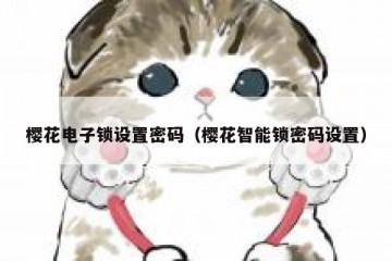 樱花电子锁设置密码（樱花智能锁密码设置）