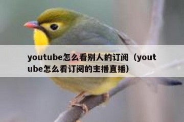 youtube怎么看别人的订阅（youtube怎么看订阅的主播直播）