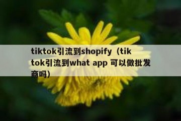 tiktok引流到shopify（tiktok引流到what app 可以做批发商吗）