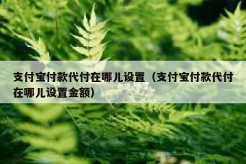 支付宝付款代付在哪儿设置（支付宝付款代付在哪儿设置金额）