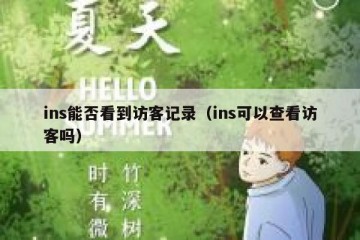 ins能否看到访客记录（ins可以查看访客吗）