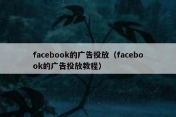 facebook的广告投放（facebook的广告投放教程）
