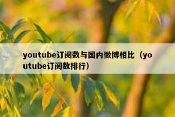 youtube订阅数与国内微博相比（youtube订阅数排行）