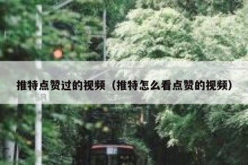 推特点赞过的视频（推特怎么看点赞的视频）