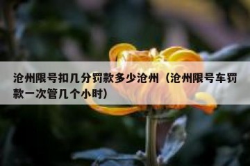 沧州限号扣几分罚款多少沧州（沧州限号车罚款一次管几个小时）