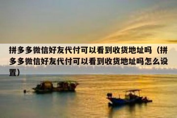 拼多多微信好友代付可以看到收货地址吗（拼多多微信好友代付可以看到收货地址吗怎么设置）