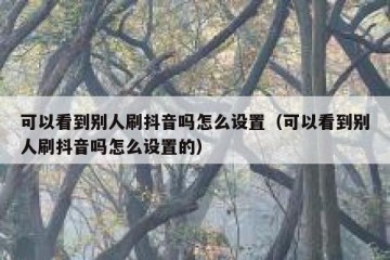 可以看到别人刷抖音吗怎么设置（可以看到别人刷抖音吗怎么设置的）