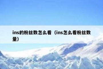 ins的粉丝数怎么看（ins怎么看粉丝数量）