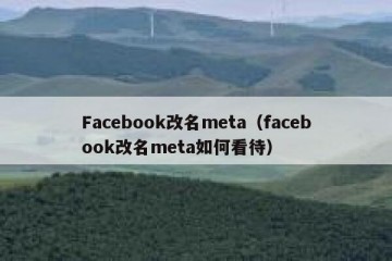 Facebook改名meta（facebook改名meta如何看待）