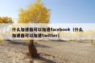 什么加速器可以加速facebook（什么加速器可以加速twitter）