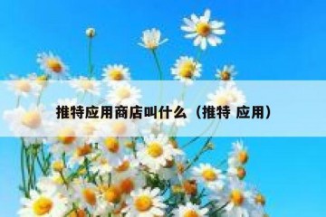 推特应用商店叫什么（推特 应用）