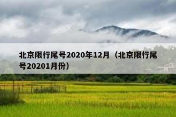 北京限行尾号2020年12月（北京限行尾号20201月份）