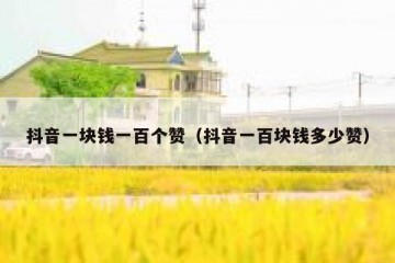 抖音一块钱一百个赞（抖音一百块钱多少赞）
