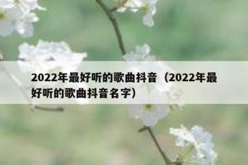 2022年最好听的歌曲抖音（2022年最好听的歌曲抖音名字）