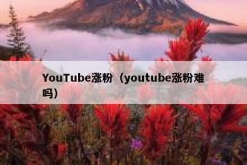 YouTube涨粉（youtube涨粉难吗）