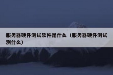 服务器硬件测试软件是什么（服务器硬件测试测什么）