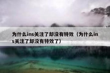 为什么ins关注了却没有特效（为什么ins关注了却没有特效了）