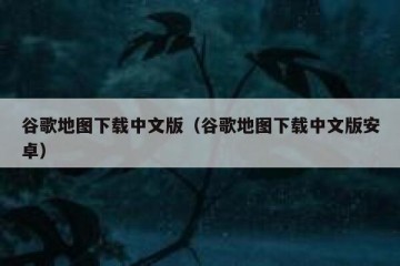 谷歌地图下载中文版（谷歌地图下载中文版安卓）