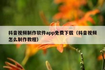 抖音视频制作软件app免费下载（抖音视频怎么制作教程）