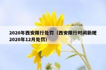 2020年西安限行处罚（西安限行时间新规2020年12月处罚）