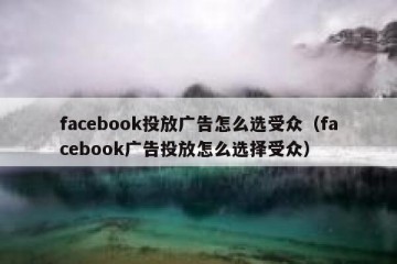 facebook投放广告怎么选受众（facebook广告投放怎么选择受众）