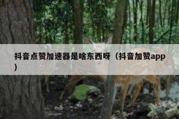 抖音点赞加速器是啥东西呀（抖音加赞app）