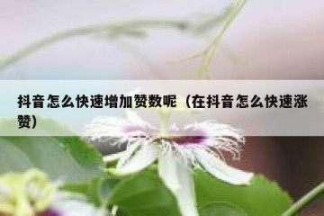 抖音怎么快速增加赞数呢（在抖音怎么快速涨赞）