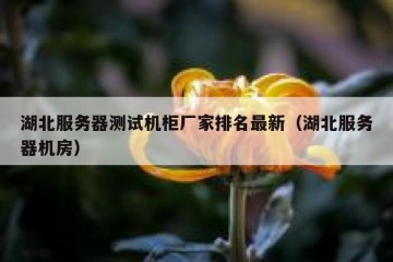 湖北服务器测试机柜厂家排名最新（湖北服务器机房）