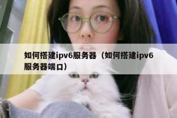 如何搭建ipv6服务器（如何搭建ipv6服务器端口）