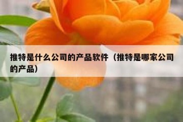 推特是什么公司的产品软件（推特是哪家公司的产品）