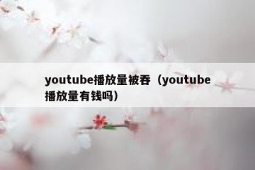 youtube播放量被吞（youtube播放量有钱吗）
