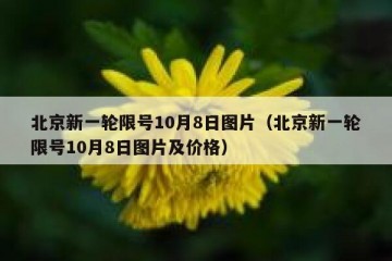 北京新一轮限号10月8日图片（北京新一轮限号10月8日图片及价格）