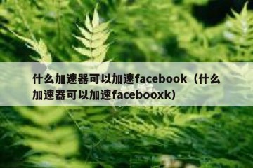 什么加速器可以加速facebook（什么加速器可以加速facebooxk）