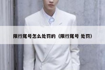 限行尾号怎么处罚的（限行尾号 处罚）