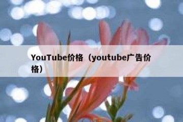 YouTube价格（youtube广告价格）