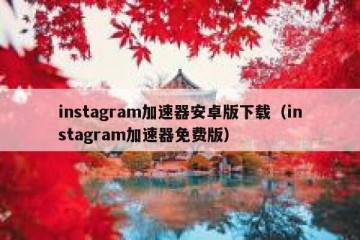 instagram加速器安卓版下载（instagram加速器免费版）
