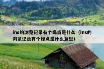 ins的浏览记录有个绿点是什么（ins的浏览记录有个绿点是什么意思）