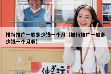 推特推广一般多少钱一个月（推特推广一般多少钱一个月啊）