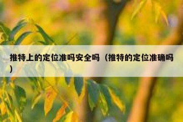推特上的定位准吗安全吗（推特的定位准确吗）