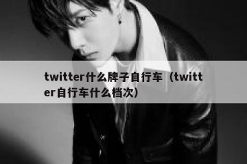twitter什么牌子自行车（twitter自行车什么档次）