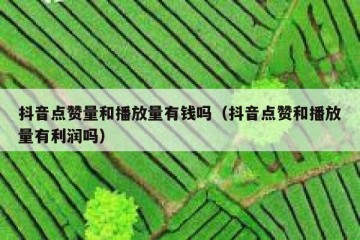 抖音点赞量和播放量有钱吗（抖音点赞和播放量有利润吗）