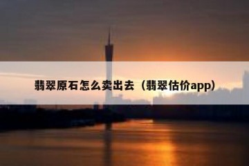 翡翠原石怎么卖出去（翡翠估价app）