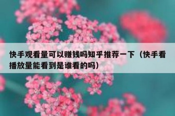 快手观看量可以赚钱吗知乎推荐一下（快手看播放量能看到是谁看的吗）