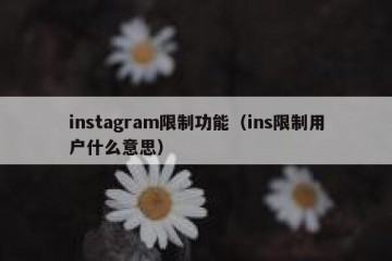 instagram限制功能（ins限制用户什么意思）