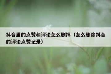 抖音里的点赞和评论怎么删掉（怎么删除抖音的评论点赞记录）